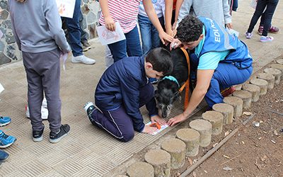 Los alumnos de Segundo Curso del CEIP Teófilo Pérez reciben un taller de concienciación de un comportamiento cívico con sus mascotas