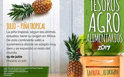 La Piña Tropical será la protagonista en la tercera sesión de “Tesoros Agroalimentarios”
