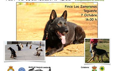 La Finca Los Zamorano albergará este sábado la “Prueba de Sociabilidad Canina”