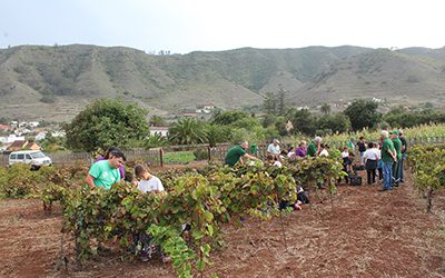 AVITE organiza un curso de cata de vinos para el alumnado del Plan de Formación en Alternancia con el Empleo “AgroEmplea Tegueste”