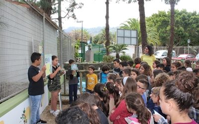 Los alumnos y alumnas del colegio Francisca Santos Melián crean un «Jardín Canario» con más de una treintena de plantas endémicas de las Islas