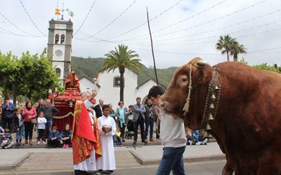 Tegueste celebra San Marcos con su desfile y bendición del ganado