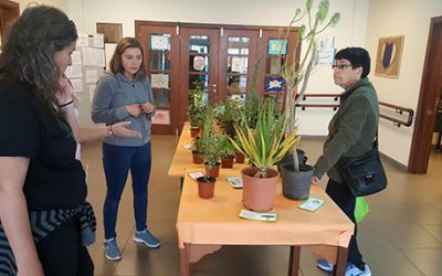 El Cabildo organiza una exposición sobre plantas medicinales y especies vegetales canarias en Tegueste