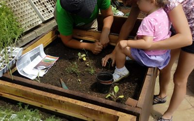 Tegueste inicia un proyecto de divulgación y sensibilización de la agricultura ecológica destinado a niños y jóvenes