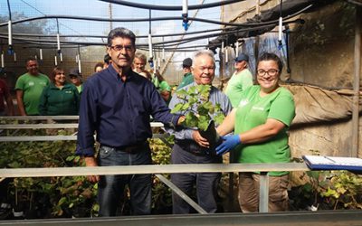 El PFAE ‘Agroemplea Tegueste’ y AVITE entregan plantas de viña