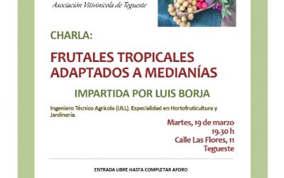 La Asociación Vitivinícola de Tegueste ofrece una charla gratuita sobre el cultivo de frutales tropicales