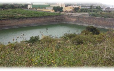 Abierto el plazo de preinscripción para la ‘Ruta del Agua de Tegueste’, que tendrá lugar el próximo 3 de octubre
